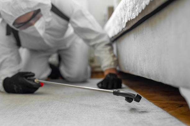 Professional Ant Control technician working in Oreana, IL