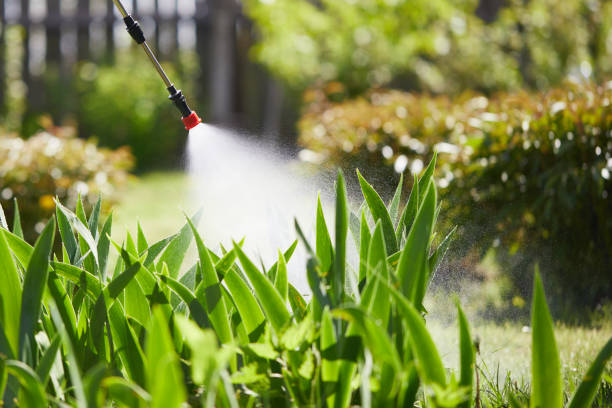 24/7 Emergency Ant Control experts in Oreana, IL